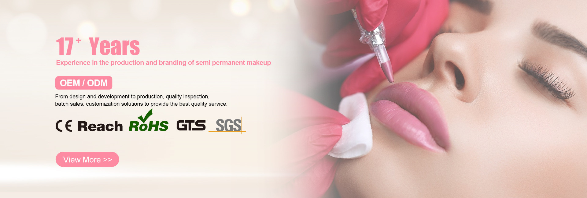 গুণ স্থায়ী মেকআপ ট্যাটু কিট কারখানা