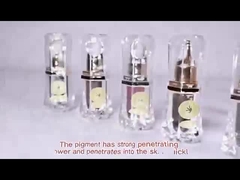 স্থায়ী মেকআপ ট্যাটু রঙ্গক